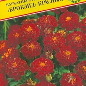 Бархатцы Брокейд Красные отклоненные 20 шт, Семена Престиж
Бархатцы Брокейд Красные отклоненные 20 шт, Семена Престиж