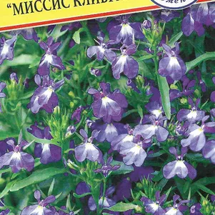 Лобелия Миссис Клибран 0,05 г, Семена Престиж
Лобелия Миссис Клибран 0,05 г, Семена Престиж