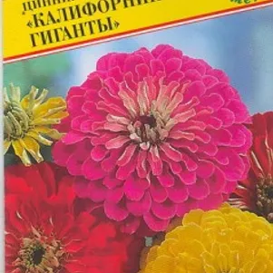 Цинния Калифорнийские гиганты изящная 35 шт, Семена Престиж
Цинния Калифорнийские гиганты изящная 35 шт, Семена Престиж