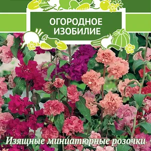 Кларкия изящная Очарование 0,2, Семена Поиск
Кларкия изящная Очарование 0,2, Семена Поиск