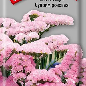 Статица Суприм розовая 0,15 г, Семена Поиск
Статица Суприм розовая 0,15 г, Семена Поиск