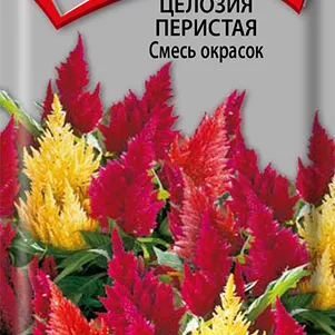 Целозия Смесь окрасок перистая 0,1 г, Семена Поиск
Целозия Смесь окрасок перистая 0,1 г, Семена Поиск