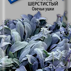 Чистец Овечьи ушки шерстистый 0,1 г, Семена Поиск
Чистец Овечьи ушки шерстистый 0,1 г, Семена Поиск