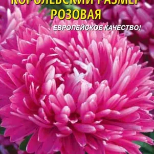Астра Королевский размер розовая 0,1 г, Плазменные семена
Астра Королевский размер розовая 0,1 г, Плазменные семена