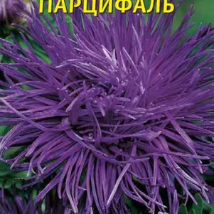 Астра Харц Парцифаль 0,3 г, Плазменные семена
Астра Харц Парцифаль 0,3 г, Плазменные семена