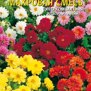 Георгина Бамбино махровая смесь 12 шт, Плазменные семена
Георгина Бамбино махровая смесь 12 шт, Плазменные семена