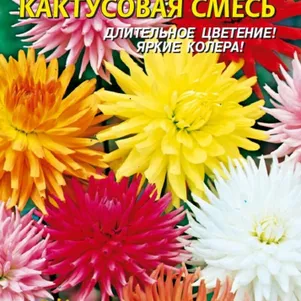 Георгина Кактусовая 12 шт, Плазменные семена
Георгина Кактусовая 12 шт, Плазменные семена