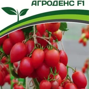 Томат Агроденс F1 0,05 г. Семена Партнер
Томат Агроденс F1 0,05 г. Семена Партнер
