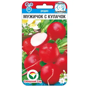 Редис Мужичок с кулачок ц.п 2 г. Семена Сибирский Сад
Редис Мужичок с кулачок ц.п 2 г. Семена Сибирский Сад