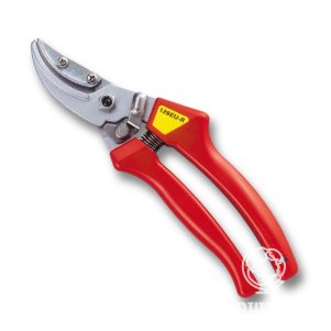 Секатор хромированный ARS 120EU-R ЕХ
Секатор хромированный ARS 120EU-R ЕХ