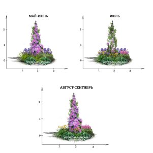 Цветник с клематисом
Цветник с клематисом