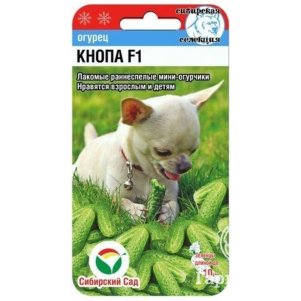 Огурец Кнопа F1 цв/п 7 шт, Семена Сибирский сад
Огурец Кнопа F1 цв/п 7 шт, Семена Сибирский сад