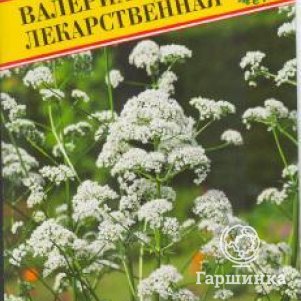 Валериана лекарственная 0,05 г, Семена Престиж
Валериана лекарственная 0,05 г, Семена Престиж