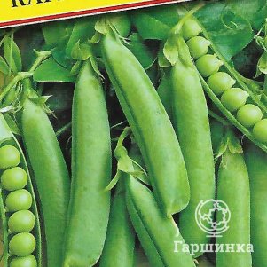 Горох Карина 4 г, Семена Престиж
Горох Карина 4 г, Семена Престиж