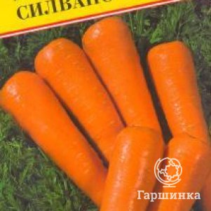 Морковь Силвано F1 0,5 г, Семена Престиж
Морковь Силвано F1 0,5 г, Семена Престиж