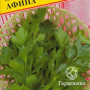 Сельдерей листовой Афина 0,3 г, Семена Престиж
Сельдерей листовой Афина 0,3 г, Семена Престиж