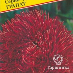 Астра Джуэл Гранат 0,3 г, Семена Престиж
Астра Джуэл Гранат 0,3 г, Семена Престиж