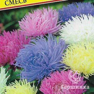 Астра Павлова смесь 0,3 г, Семена Престиж
Астра Павлова смесь 0,3 г, Семена Престиж