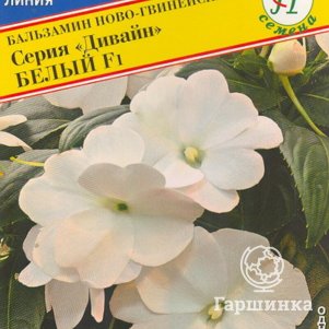 Бальзамин ново-гвинейский Дивайн Белый F1 5 шт, Семена Престиж
Бальзамин ново-гвинейский Дивайн Белый F1 5 шт, Семена Престиж