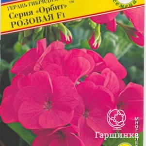 Герань Орбит F1 Розовая гибридная 5 шт, Семена Престиж
Герань Орбит F1 Розовая гибридная 5 шт, Семена Престиж