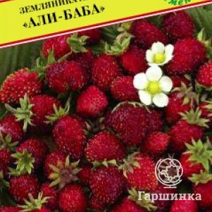 Земляника Али-Баба лесная 0,1 г, Семена Престиж
Земляника Али-Баба лесная 0,1 г, Семена Престиж