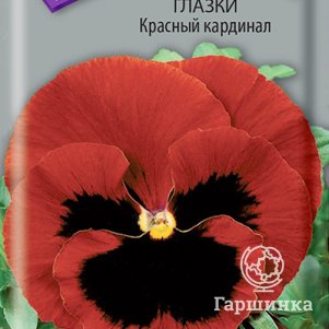 Анютины глазки Красный кардинал 0,2, Семена Поиск
Анютины глазки Красный кардинал 0,2, Семена Поиск