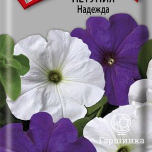 Петуния Надежда 0,1 г, Семена Поиск
Петуния Надежда 0,1 г, Семена Поиск