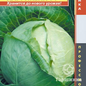 Капуста Харрикейн F1 белокочанная 10 шт, Плазменные семена
Капуста Харрикейн F1 белокочанная 10 шт, Плазменные семена