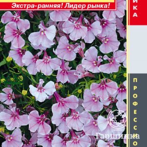 Лобелия Регатта Лилак ампельная (серия Regatta) 8 мультидрж в пробирке, Плазменные семена
Лобелия Регатта Лилак ампельная (серия Regatta) 8 мультидрж в пробирке, Плазменные семена