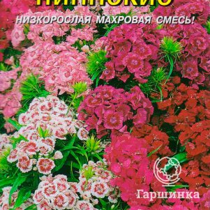 Гвоздика Пиннокио турецкая 0,2 г, Плазменные семена
Гвоздика Пиннокио турецкая 0,2 г, Плазменные семена
