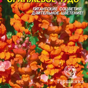 Львиный зев Оранжевое чудо 0,1г, Плазменные семена
Львиный зев Оранжевое чудо 0,1г, Плазменные семена