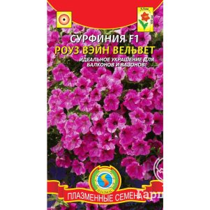 Сурфиния Роуз Вэйн Вельвет F1 5 драже в пробирке, Плазменные семена
Сурфиния Роуз Вэйн Вельвет F1 5 драже в пробирке, Плазменные семена