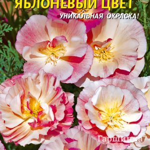 Эшшольция Яблоневый цвет, 0,02 гр, Плазменные семена
Эшшольция Яблоневый цвет, 0,02 гр, Плазменные семена