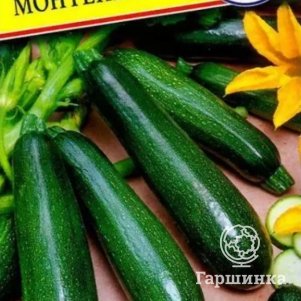 Кабачок Монтенегро F1 5 шт, Семена Престиж
Кабачок Монтенегро F1 5 шт, Семена Престиж