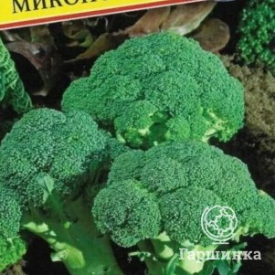 Брокколи Миконос F1 5 шт, Семена Престиж
Брокколи Миконос F1 5 шт, Семена Престиж