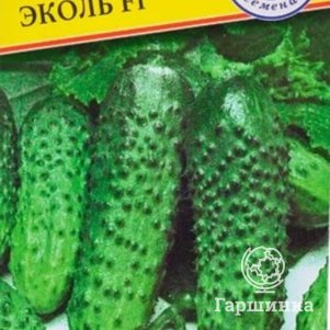 Огурец Эколь F1 5 шт, Семена Престиж
Огурец Эколь F1 5 шт, Семена Престиж