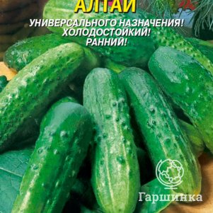 Огурец Алтай 12 шт, Плазменные семена
Огурец Алтай 12 шт, Плазменные семена