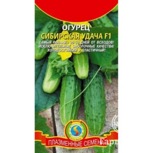 Огурец Сибирская удача F1 8 шт, Плазменные семена
Огурец Сибирская удача F1 8 шт, Плазменные семена