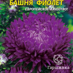 Астра Башня Фиолет 0,3 г, Плазменные семена
Астра Башня Фиолет 0,3 г, Плазменные семена