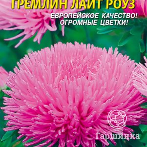 Астра Гремлин лайт-роуз 0,2 г, Плазменные семена
Астра Гремлин лайт-роуз 0,2 г, Плазменные семена