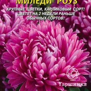 Астра Миледи Роуз 0,2 г, Плазменные семена
Астра Миледи Роуз 0,2 г, Плазменные семена