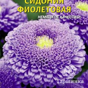 Астра Сидония Фиолетовая 0,2 г, Плазменные семена
Астра Сидония Фиолетовая 0,2 г, Плазменные семена
