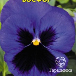 Виола Босфор 0,1 г, Плазменные семена
Виола Босфор 0,1 г, Плазменные семена