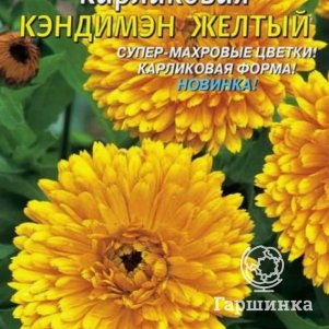Календула Кэндимэн Желтый карликовая 0,2 г, Плазменные семена
Календула Кэндимэн Желтый карликовая 0,2 г, Плазменные семена