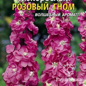 Левкой Розовый гном низкорослый 0,1 г, Плазменные семена
Левкой Розовый гном низкорослый 0,1 г, Плазменные семена