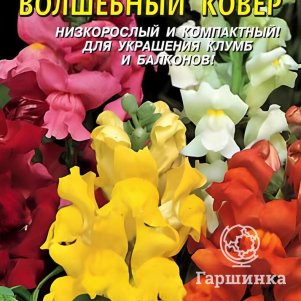 Львиный зев Волшебный ковер 0,2 г, Плазменные семена
Львиный зев Волшебный ковер 0,2 г, Плазменные семена