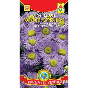 Эригерон Голубой карбункул 0,05 г, Плазменные семена
Эригерон Голубой карбункул 0,05 г, Плазменные семена