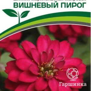 Цинния Вишневый Пирог махровая (серия Барышня-крестьянка) 5 шт. Семена Партнер
Цинния Вишневый Пирог махровая (серия Барышня-крестьянка) 5 шт. Семена Партнер