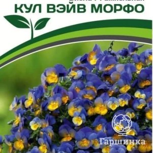 Виола Кул Вэйв Морфо F1 ампельная 5 шт. Семена Партнер
Виола Кул Вэйв Морфо F1 ампельная 5 шт. Семена Партнер