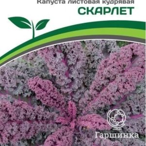 Листовая капуста Скарлет кудрявая 0,3 г, Семена Партнер
Листовая капуста Скарлет кудрявая 0,3 г, Семена Партнер